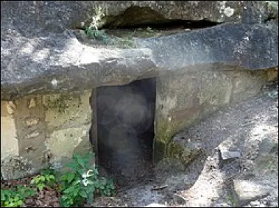 Ce qu'un rat défit.