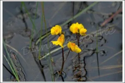 Quel est le num�ro de ce d�partement ?