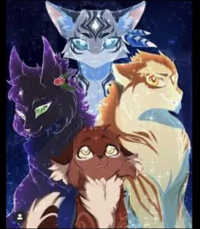 Miaou !
Qui est-ce ?