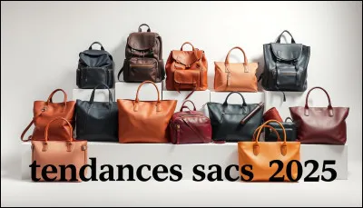 Tu choisis un sac pour les cours, lequel prends tu ?