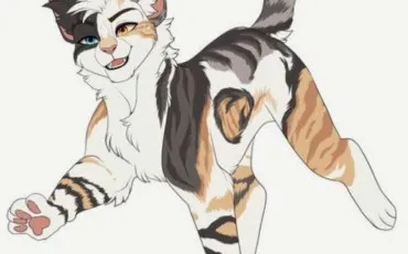 Quiz Test de personnalit