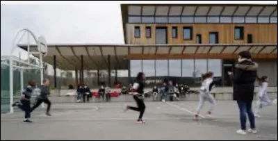 Cest lheure daller au sport avec le collège. Quelle est ta réaction ?