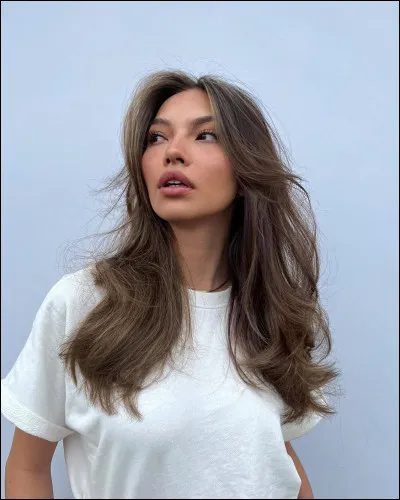 Quelle est la couleur de tes cheveux ?