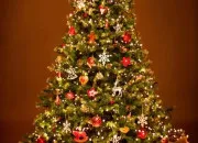 Test Vas-tu tomber sur l'image de Nol ?