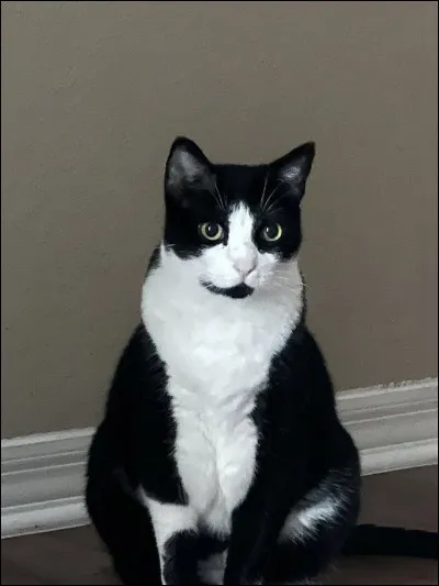 Blanc ou noir ? Que choisis-tu ?