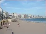 Clbre station balnaire avec un vivant front de mer, les quartiers typiques du port et de la Chaume, o vivent les pcheurs. Les muses de l'abbaye Ste-Croix et du Coquillage.