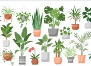 Quiz Gala des plantes de A  Z