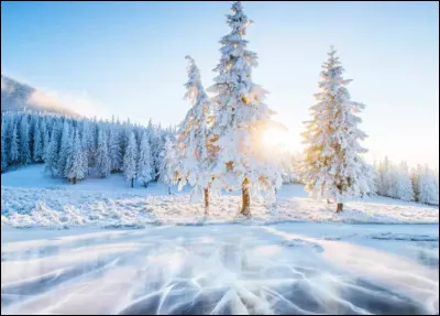 Dans quel vêtement retrouve-t-on les chocolats ou sucres dorge ?