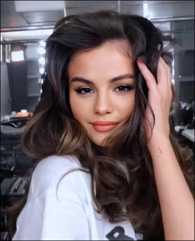 Dans quel film danimation joue-t-elle "Mavis" ?