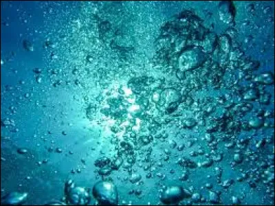 Quelle est la mer la plus vaste du monde ?