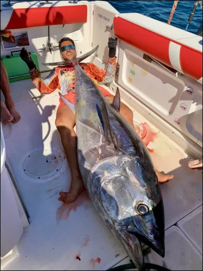 Le thon rouge de l'Atlantique peut mesurer plus de 5 mètres et dépasser la tonne.