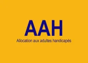 Quiz Allocation aux adultes handicap�s