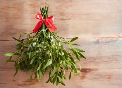 A cette période, il est commun d'accrocher...