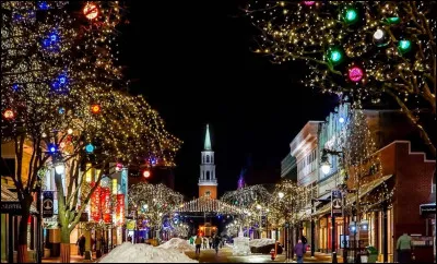 Traditionnellement, avec quoi décore-t-on les arbres de Noël ?