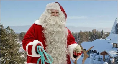 Quels animaux accompagnent le Père Noël ?