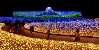 Quelle activit&eacute; est populaire pour les couples au Japon &agrave; No&euml;l ?