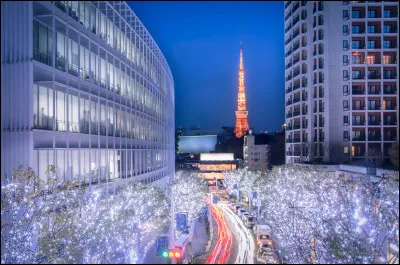 Quel type d�&eacute;clairage est tr&egrave;s populaire dans les villes japonaises pendant No&euml;l ?