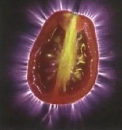 Quel proc&eacute;d&eacute; photographique, d&eacute;voilant une sorte d'"aura" autour d'une chose soumise &agrave; une tension, a inspir&eacute; le nom du Pok&eacute;mon de type psy, num&eacute;ro 30 de Hoenn ?