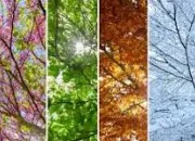 Test Quelle saison es-tu ?