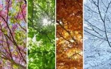 Quiz Test de personnalit�