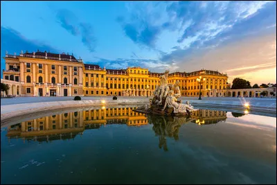 Vienne est la ville dans laquelle se déroule l'action du film "Le Troisième homme".