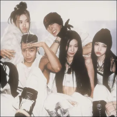 Quels groupes sont uniques, car se sont des groupes mixtes ?