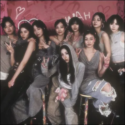 Pour quelle raison Twice est-il un groupe unique ?