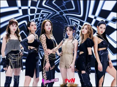 Pourquoi Mamadol est-il un groupe unique ?