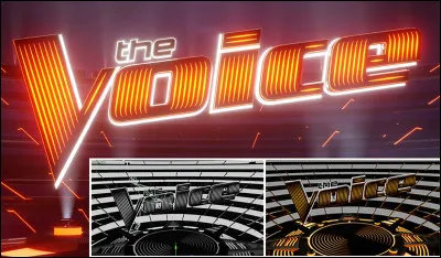En quelle ann&eacute;e Th&eacute;o a-t-il particip&eacute; &agrave; ''The Voice'' ?