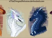 Quiz ''Les Royaumes de feu'' : les hybrides