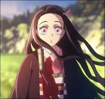 Dans quel arc Nezuko devient-elle résistante au soleil ?