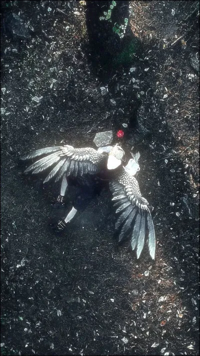 As-tu une petit faible pour les animaux ? Si oui, lesquels en particulier ?