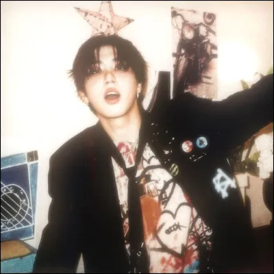 Quel genre de musique t'attire le plus ?