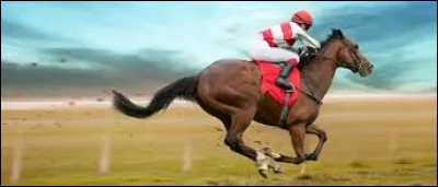 Quel est le cheval le plus rapide du monde ?
