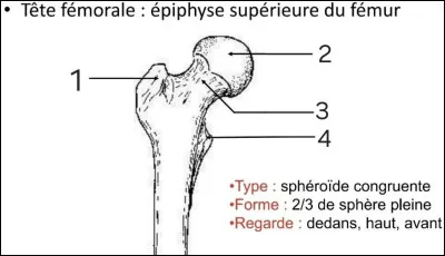 Quel est le repère n°1 ?