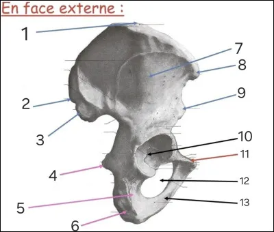Quel est le repère n°1 ?