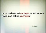 Quiz Les galres de l'orthographe 2