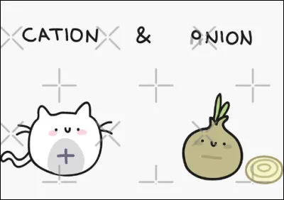 Dans le cas inverse, comment appelle-t-on un ion qui a gagné des électrons par rapport à son atome associé ?