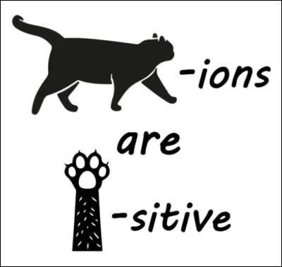 À partir d'un atome, un ou plusieurs électrons peuvent être gagnés ou perdus dans les alentours de son noyau. Comment appelle-t-on un atome qui perd un ou plusieurs électrons ?