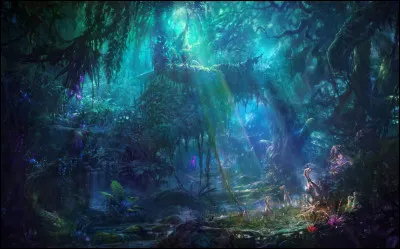 Quel type d'univers préfères-tu ?