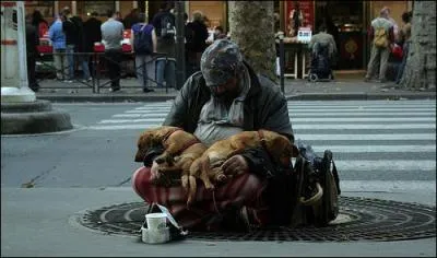Selon la dernire tude de l'Insee, combien de Franais vivent sous le seuil de pauvret ?