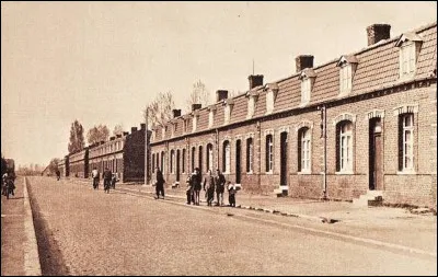 Le docteur Jousseaume, mort en 1923, possédait 2 515 faux...
