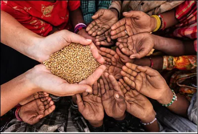 Quel est le nom donné au manque de ce qui est nécéssaire à la vie et au corps en particulier la nourriture ?
