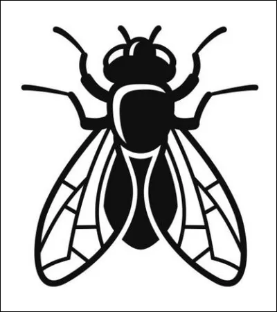 Quel est le nom de l'insecte qui possède seulement 2 ailes ?