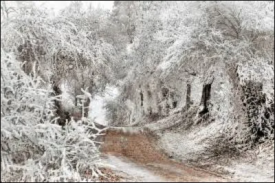 Quelle fête se déroule durant l'hiver ?