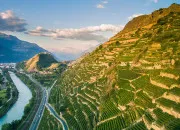 Quiz Les vins suisses dans vos verres