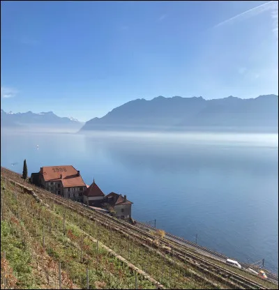 Comment ce célèbre vin blanc de garde suisse produit par la famille Massy à Dezaley canton de Vaud a-t-il été baptisé ?