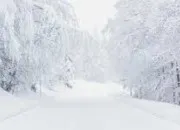 Quiz Expression avec 'blanc'