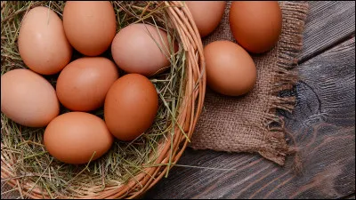 Combien dufs une bonne pondeuse peut-elle produire par an ?