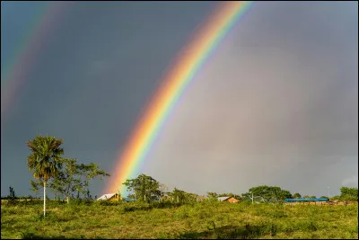 Quelle est ta couleur pr&eacute;f&eacute;r&eacute;e ?